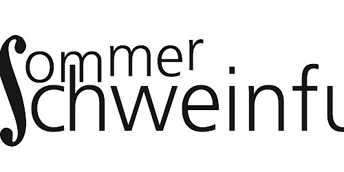 Logo von nachSommer Schweinfurt